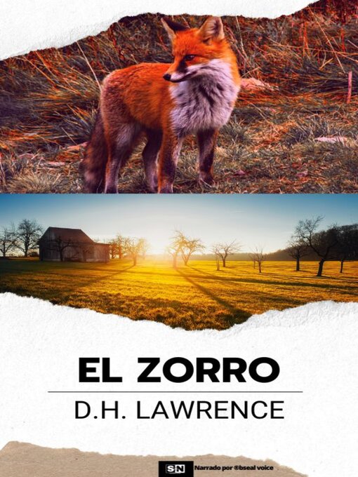 Cover image for El zorro